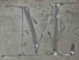 m.jpg (19905 bytes)